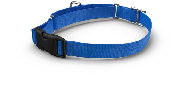 Dog Collar Png Pic - Dog Collar Png (600x600), Png Download