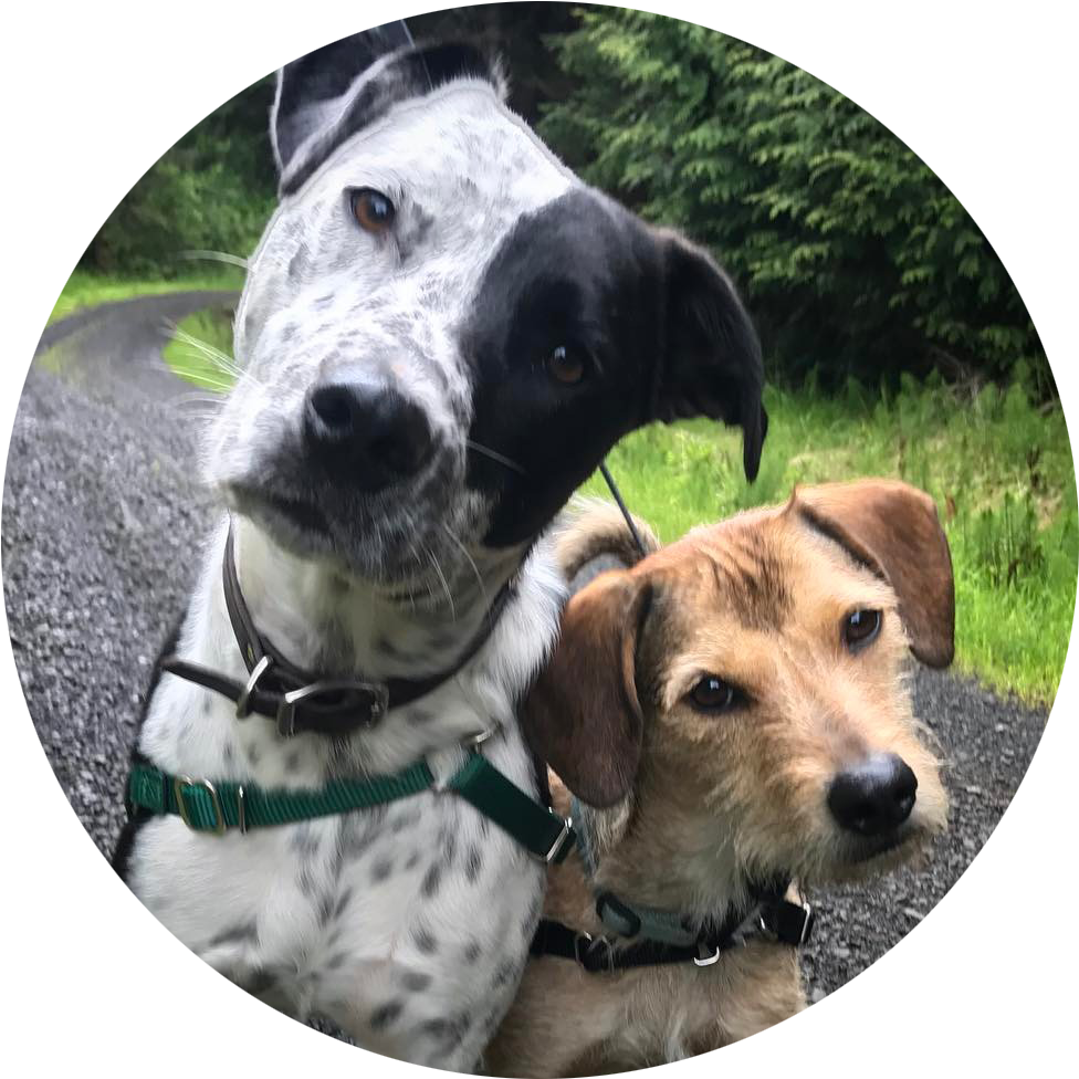 Flynn&jack-circular - Portable Network Graphics (997x997), Png Download