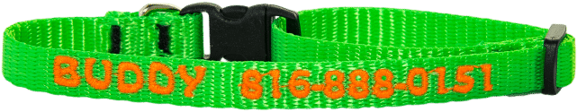 Three Eighths Inch Personalized Dog Collar - Dog Collar (768x307), Png Download