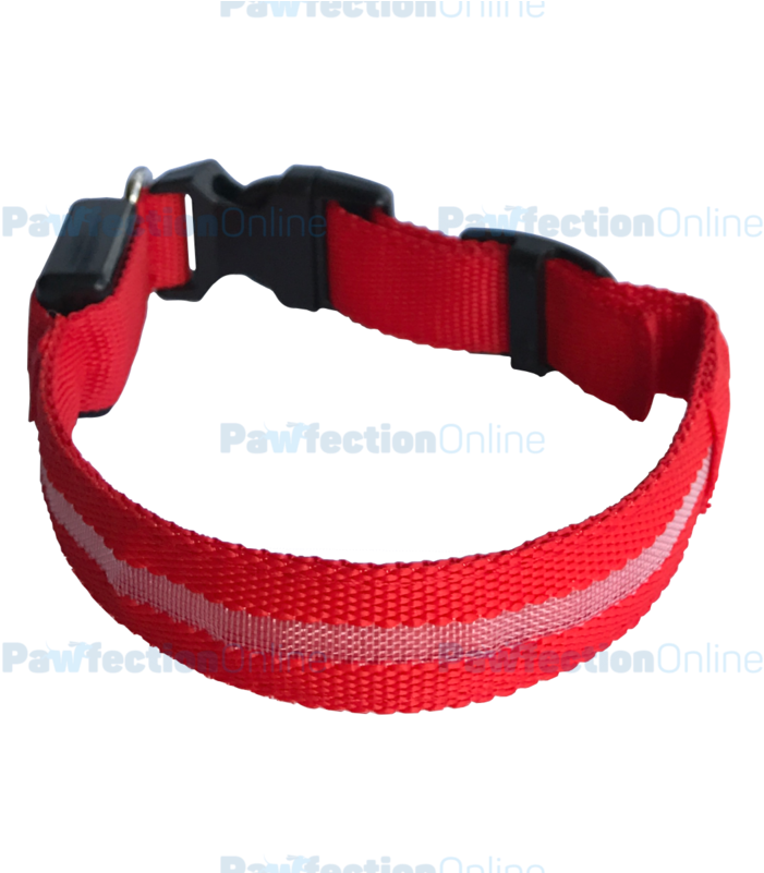 The Durable Nylon Red Led Dog Collar Is Part Of The - Dog Collar (800x800), Png Download