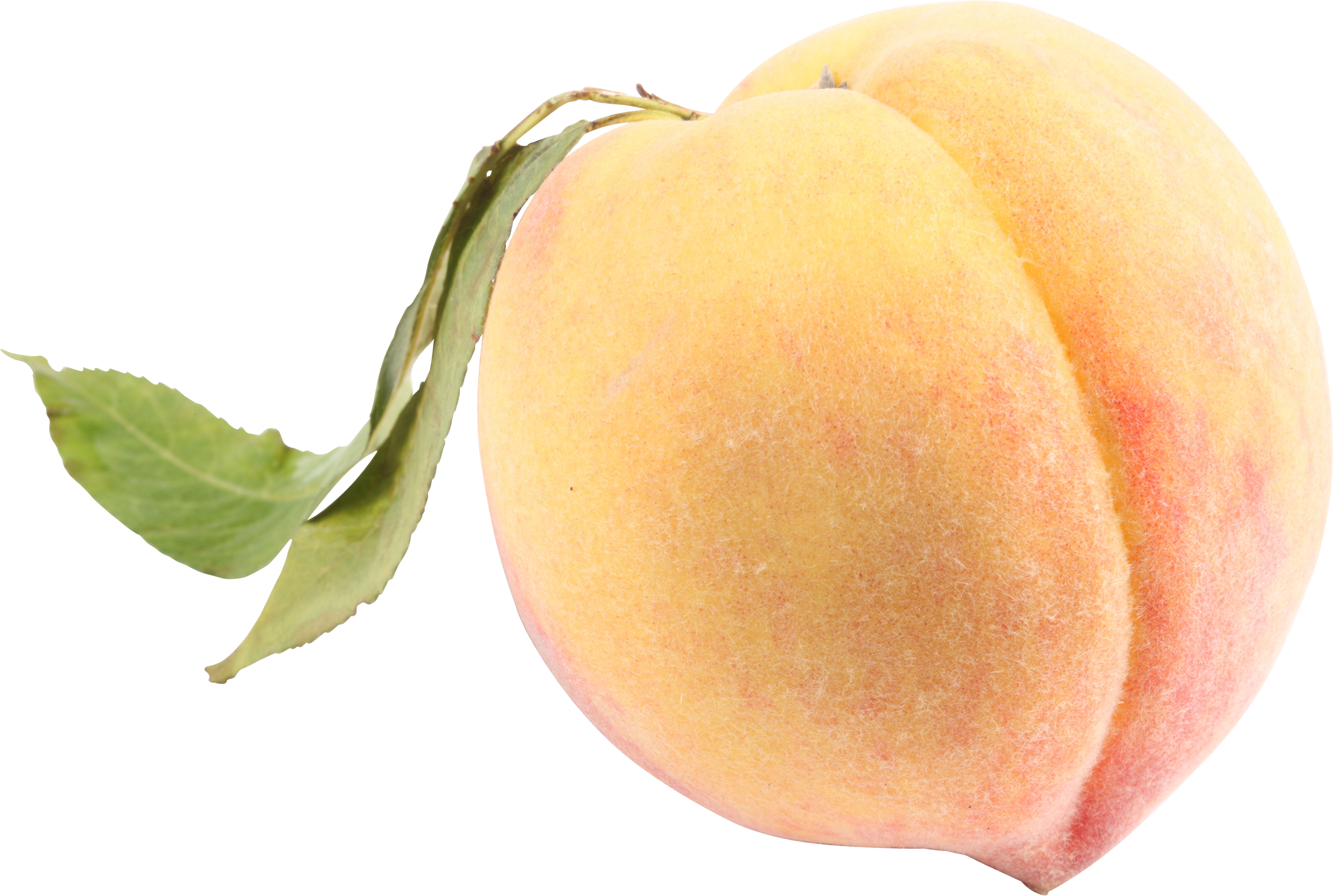 White Peach Png (3505x2358), Png Download