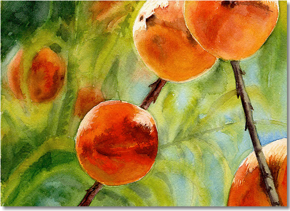 Original Traditional Watercolors By Gregory Effinger - Watercolor Painting (570x576), Png Download