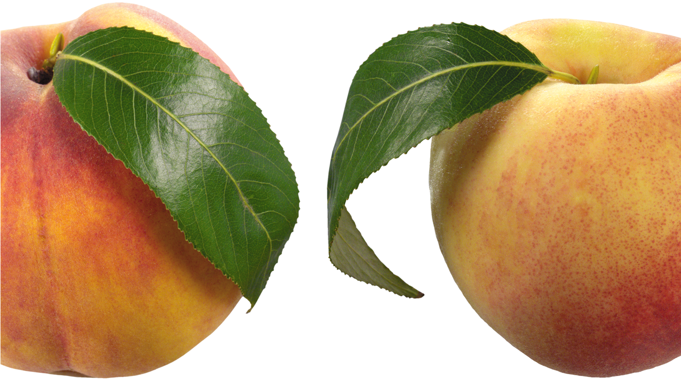 Peaches Png Clipart Picture Gallery Yopriceville High - Peach (1368x855), Png Download
