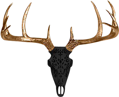 Deer Skull Png Clip Download - Elk (438x356), Png Download