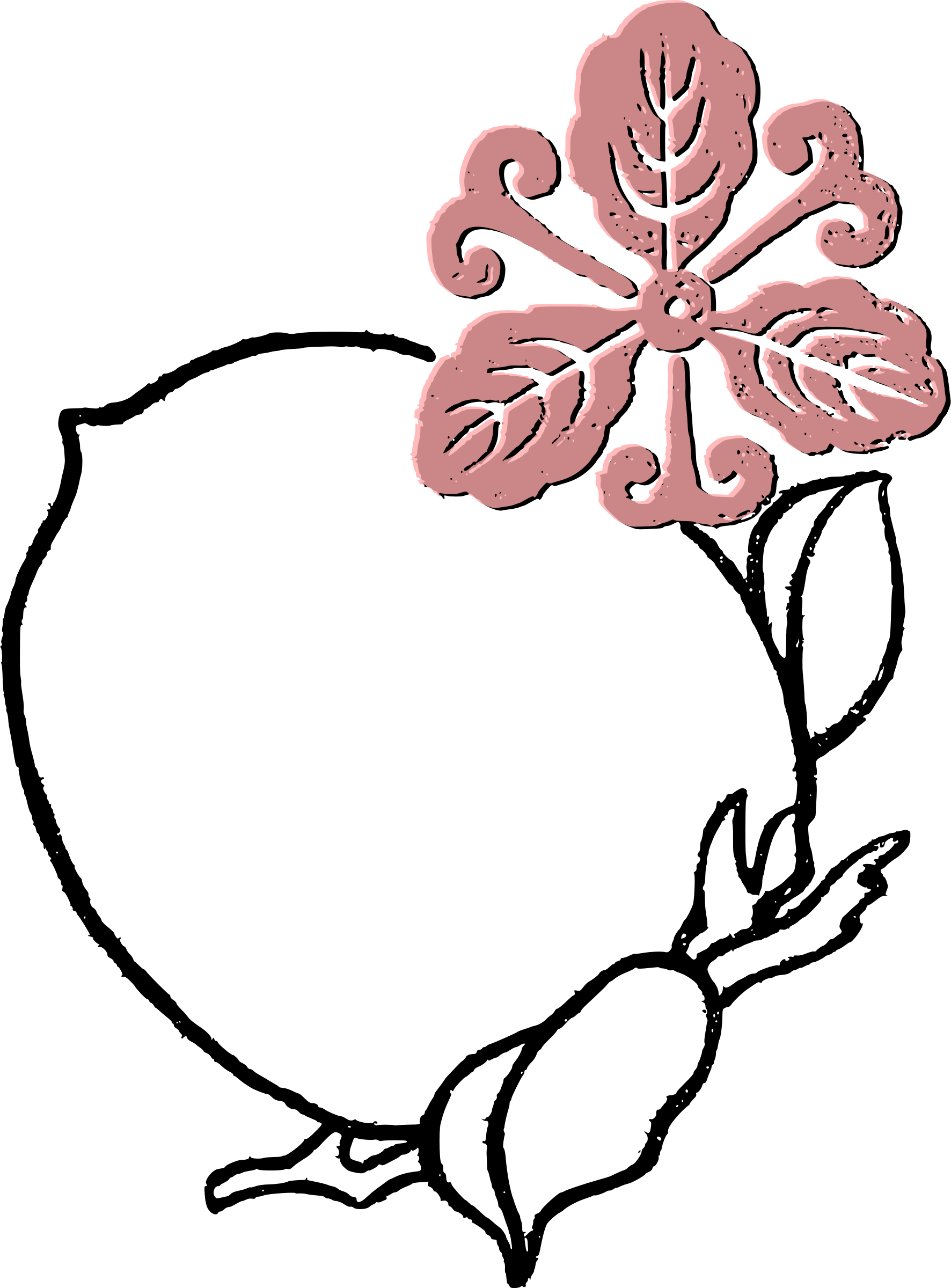 Peach Flower Frame Clipart - Flower (1772x2400), Png Download