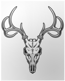 Deer Skull Png For Kids - Drawing Of A Deer Skull (400x400), Png Download