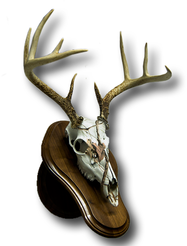 Maid Service (400x500), Png Download