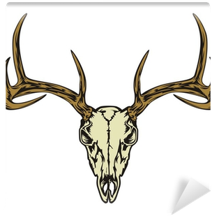 Deer Skull (400x400), Png Download