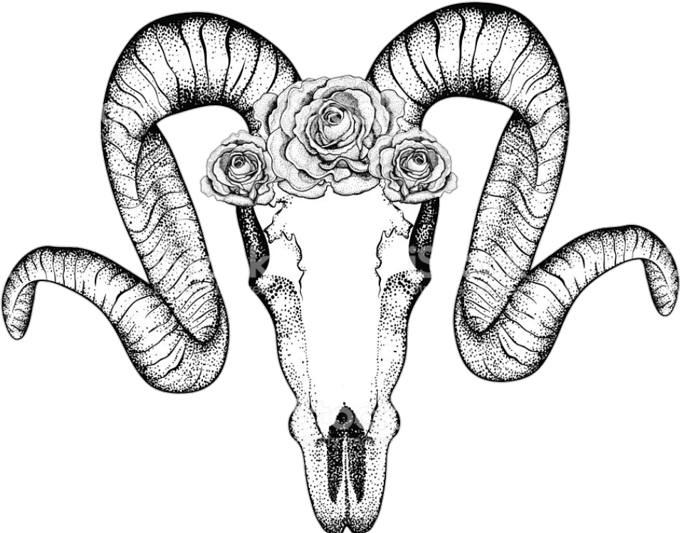 Report Abuse - Zentangle Ram Skulls (1080x830), Png Download