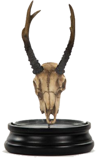 Deer Skull Statue With Cover, White, Artwork,polyresin, (350x572), Png Download