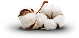 Cotton Png (404x298), Png Download