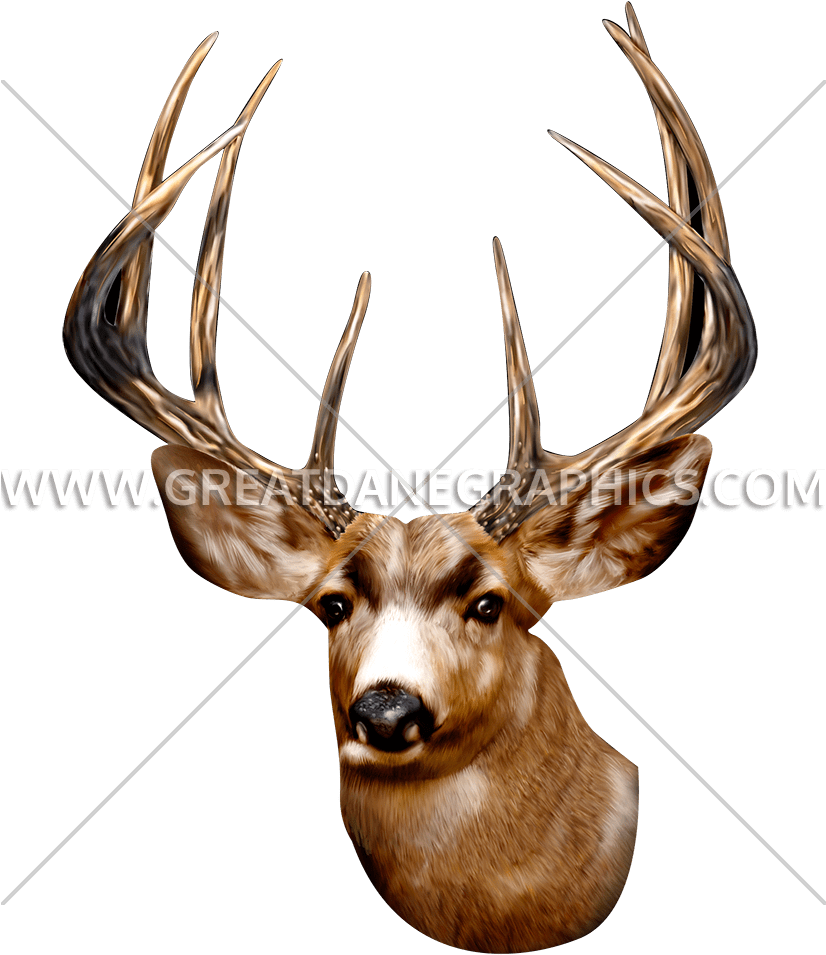 Wildlife - Big Face Deer Head Portrait Sweater (825x1068), Png Download