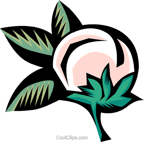Cotton Plant Royalty Free Vector Clip Art Illustration - Cotton Plant Cotton Clip Art (480x475), Png Download