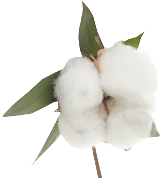 Cotton Png - White 100% Pure Soft Terry Cotton Multi Functional (350x350), Png Download