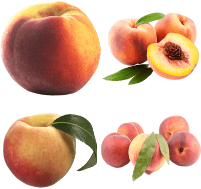 Peach Transparent Png (400x400), Png Download