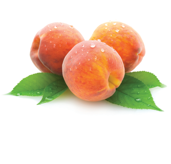 Peach - Peachbottompanties Custom Listing For James (549x549), Png Download