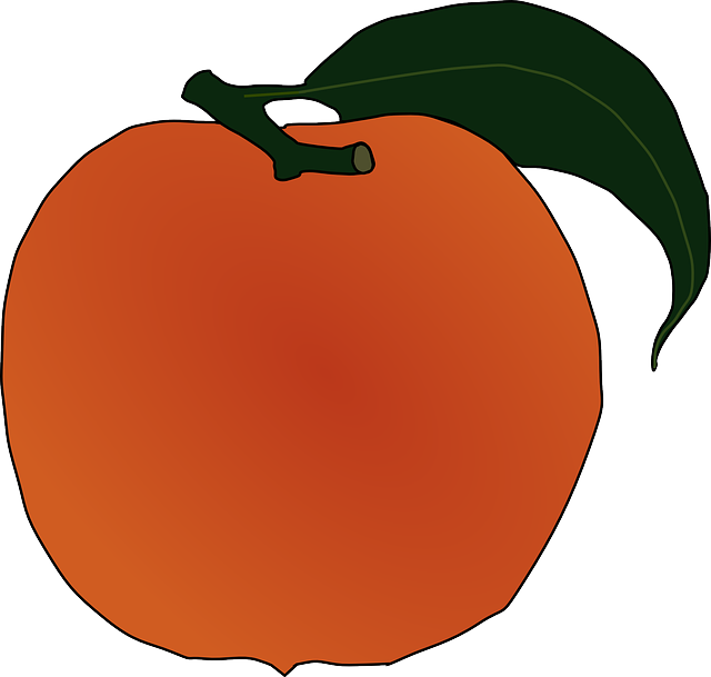 Food, Fruit, Outline, Leaf, Cartoon, Orange, Peach - Peach Clip Art (640x609), Png Download