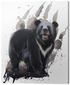 Black Bear With White Chest Watercolor Painting Canvas - Watercolor Black Bear (400x400), Png Download
