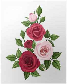 Red And Pink Roses - Rose Vector (400x400), Png Download