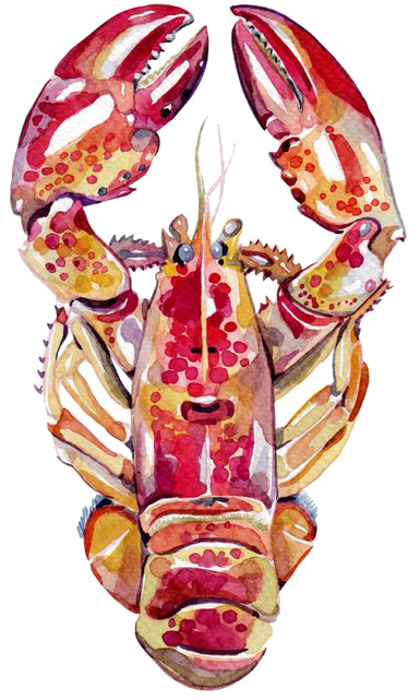Lobster Watercolor Png - Holly Exley Sea (564x800), Png Download