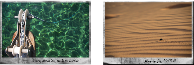 Polaroids-grand - Plywood (692x231), Png Download