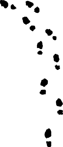 Bullet Vector Trail - Footprints Png (258x597), Png Download