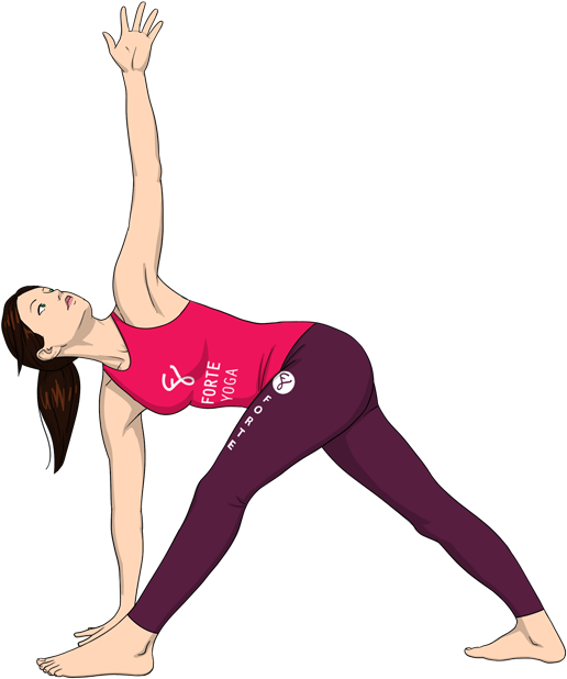 Forte Yoga Trikonasana (900x675), Png Download
