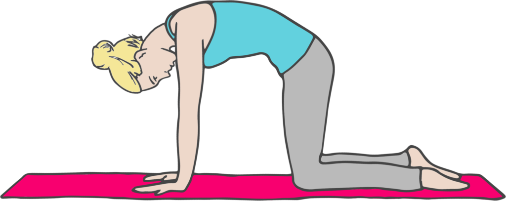 Cat Pose - Marjariasana (1024x407), Png Download