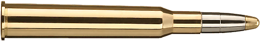 Evolution-bullet - Balle De Fusil Png (625x212), Png Download