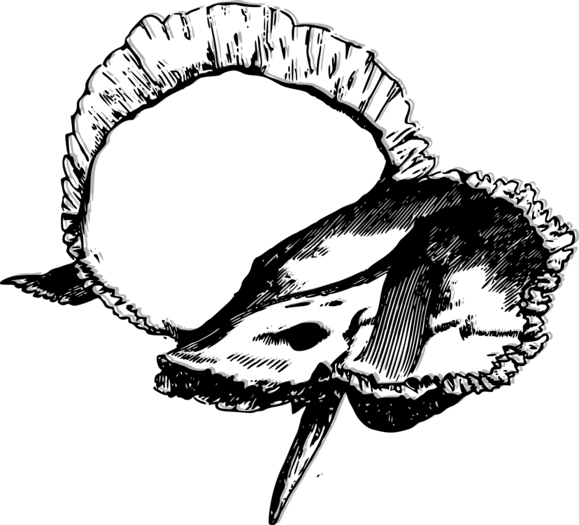 Skull Drawing Temporal Bone Human Skeleton - Human Temporal Bone Ear Bone (828x750), Png Download