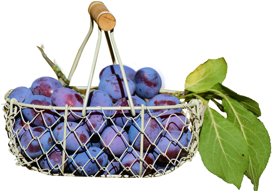 Fruit Basket Images - Buah Duwet (960x650), Png Download