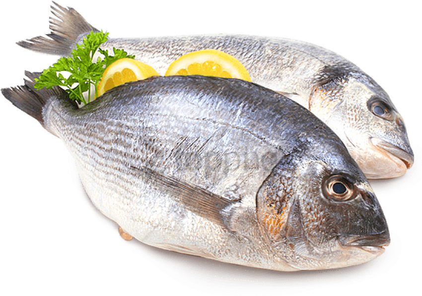 Free Png Fish Meat Png Png Image With Transparent Background - Pescado Png (850x666), Png Download