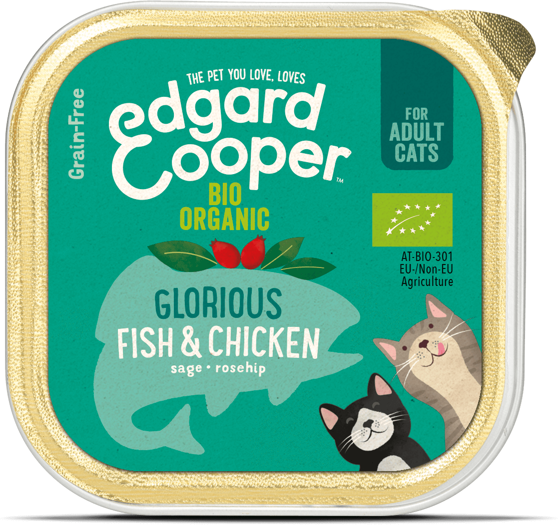 Organic Fish & Chicken - Cartoon (1319x1209), Png Download