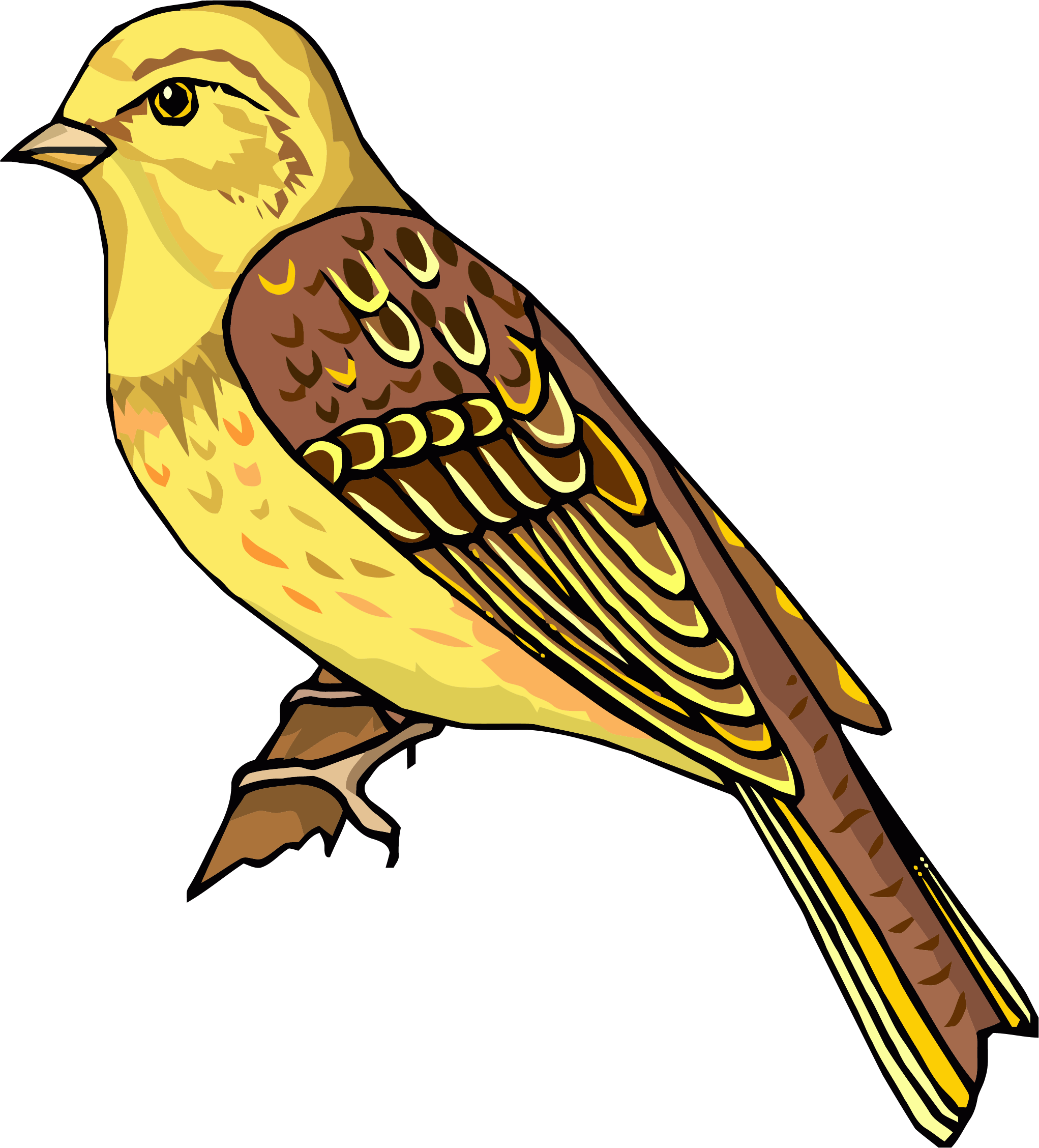 Staying Realistic Bird Clipart Png - Clipart Pictures Of Bird (2043x2256), Png Download