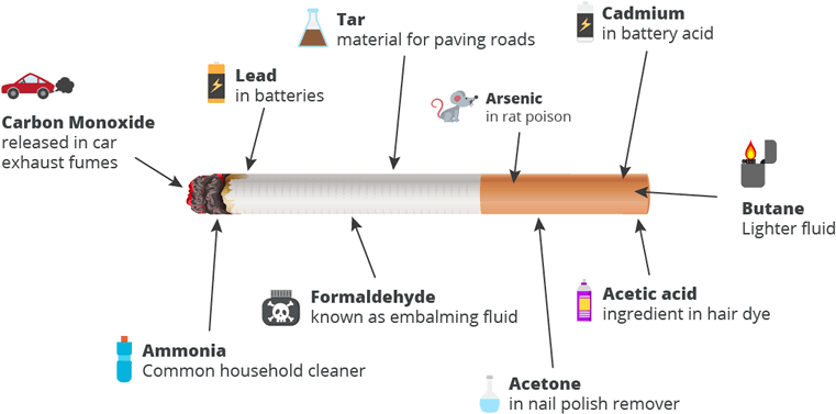 Smoking The Facts - Whats In A Smoke (800x402), Png Download