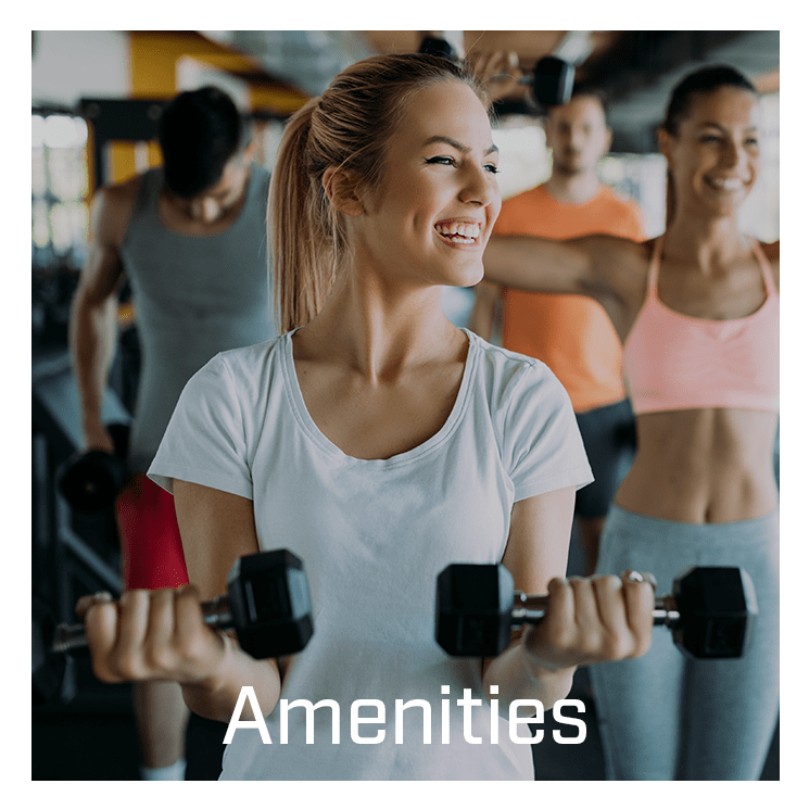 Link To Amenities At Solis At Flamingo In Las Vegas, - Exercise (800x800), Png Download