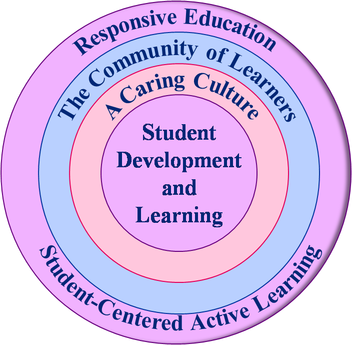 Protective - Learner Centred Approach In Higher Education (704x689), Png Download