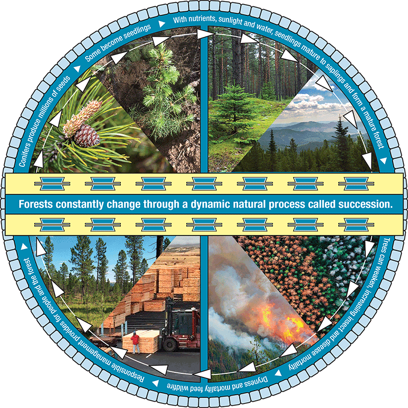 Pairing Tribal Knowledge With Modern Management, The - Circle (800x800), Png Download