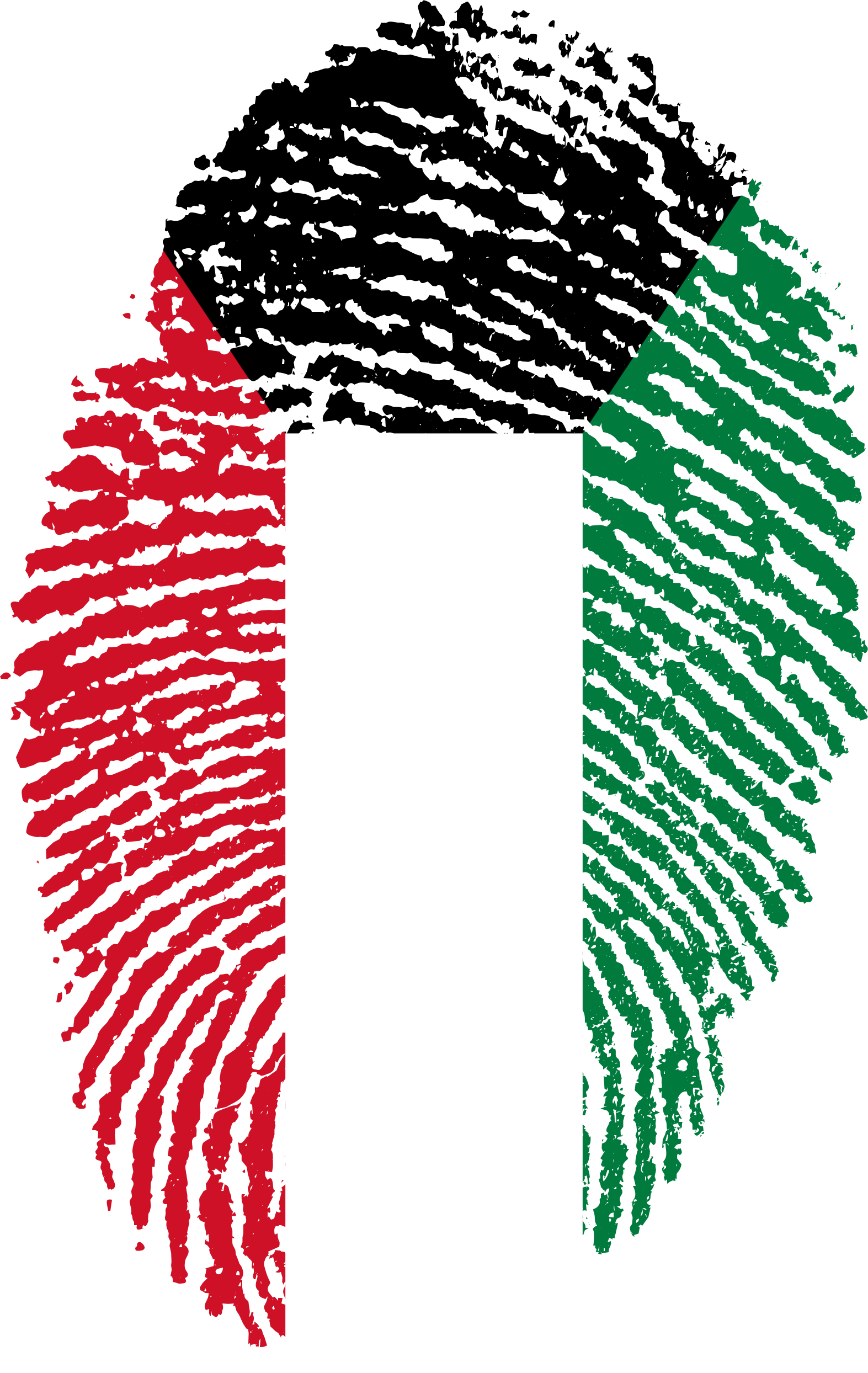 Kuwait Flag Fingerprint Country 655502 - Kuwait Flag Fingerprint (1573x2488), Png Download