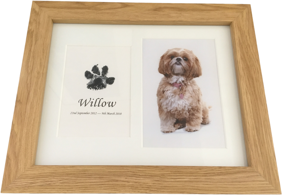 Dog Paw Print In Wood Frame With Photograph Using Inkless - Picture Frame (1024x768), Png Download