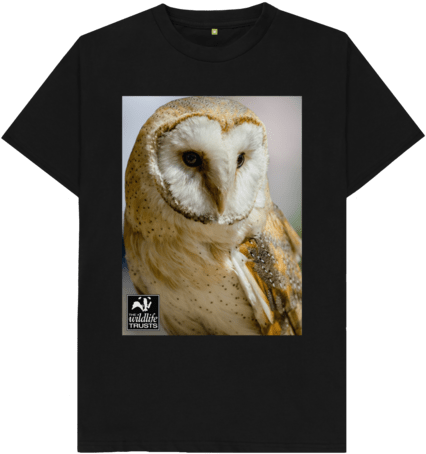 Barn Owl Kid's T-shirt - Camisetas Catrachas (640x674), Png Download