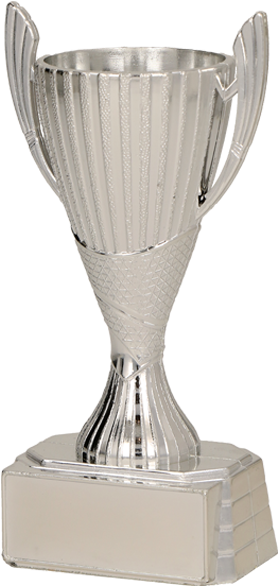Trophy (570x630), Png Download