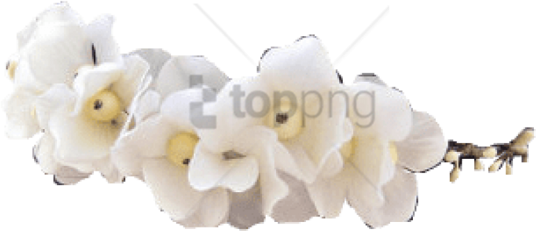 Free Png Tumblr Transparent Flower Crown Png Image - Transparent White Flower Crown (850x417), Png Download