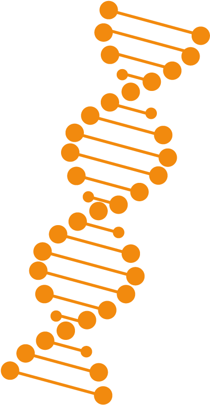 Adn-naranja (435x826), Png Download