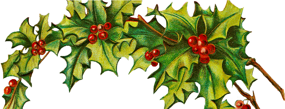 Christmas Holy (960x360), Png Download