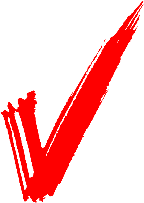 Cellphone Printout With Location And Calls - Transparent Background Red Check Mark Png (768x768), Png Download