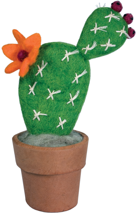 Cactus Png Small - Prickly Pear (700x700), Png Download