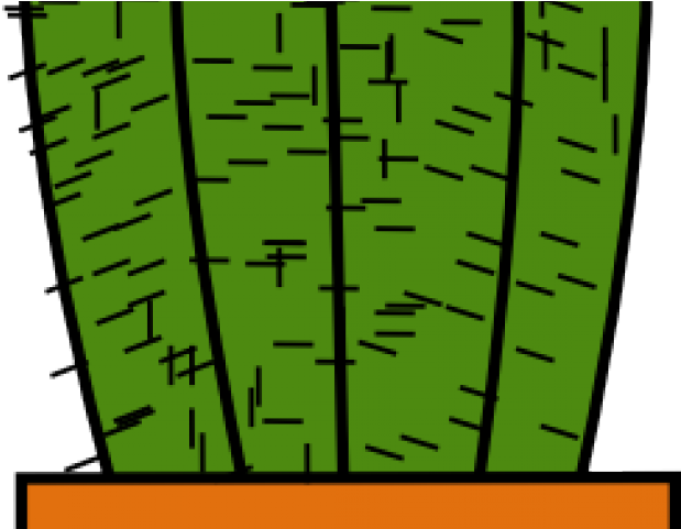 Cactus Clipart Vector - Kaktüs Clipart (640x480), Png Download