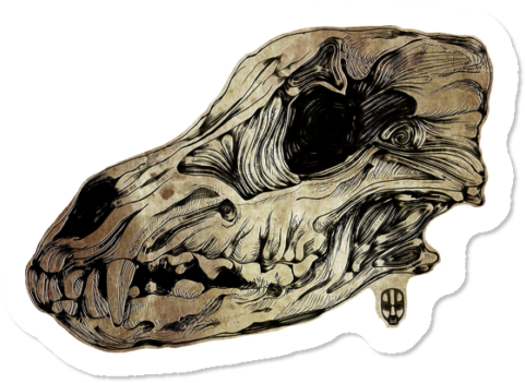 Animal Skull Ii $3 - Illustration (650x650), Png Download