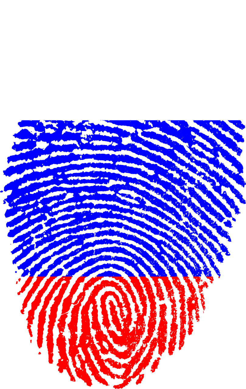 Russia Flag Fingerprint Country Png Image - Flag Fingerprints (809x1280), Png Download